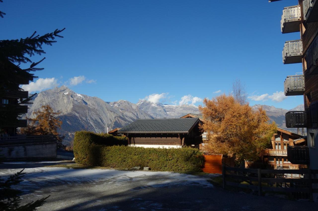 Pracondu 1 Outdoor & Fun Appartement 1 Chambre Superieur Avec Balcon By Alpvision Residences Nendaz Eksteriør bilde