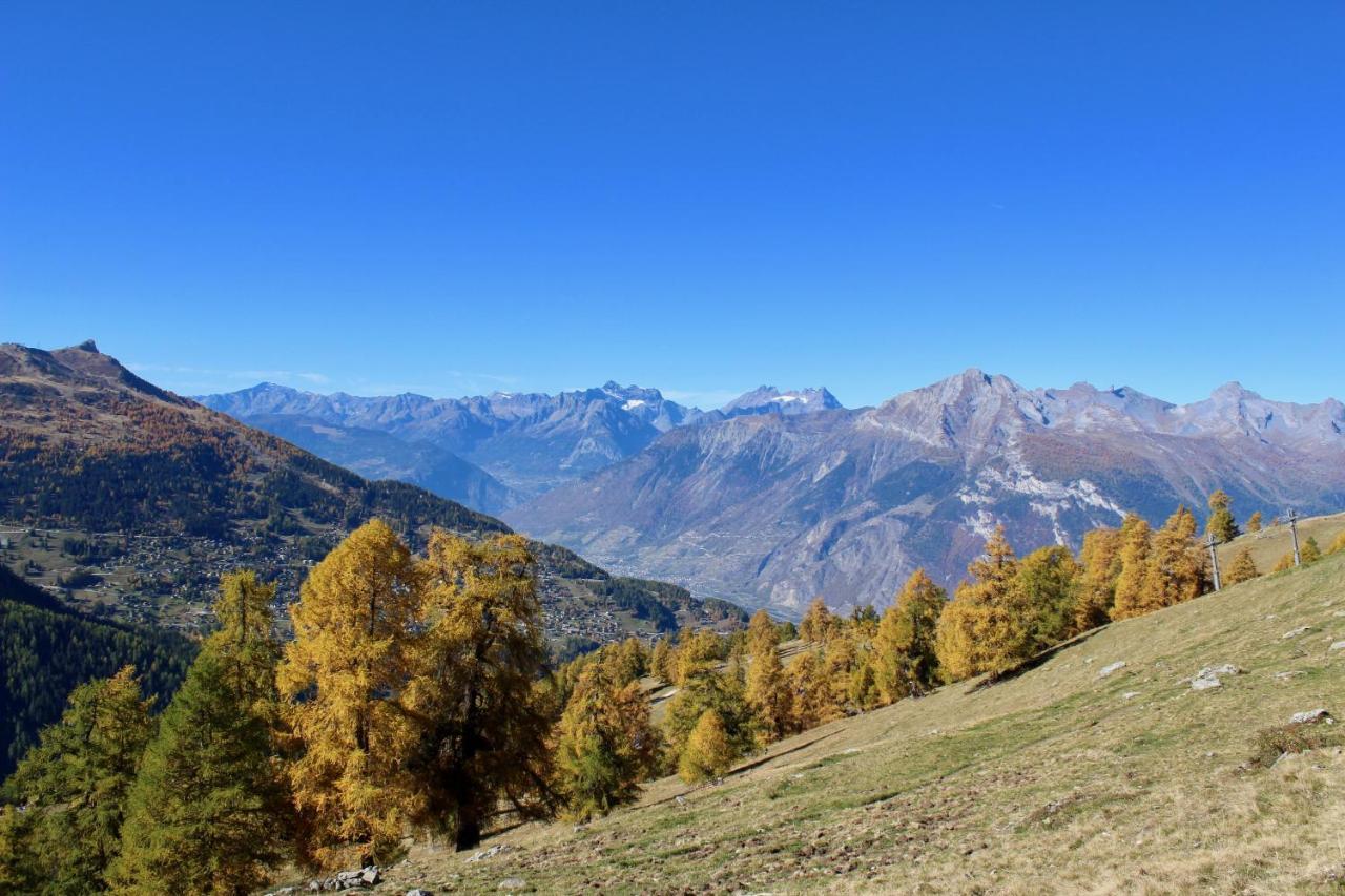 Pracondu 1 Outdoor & Fun Appartement 1 Chambre Superieur Avec Balcon By Alpvision Residences Nendaz Eksteriør bilde