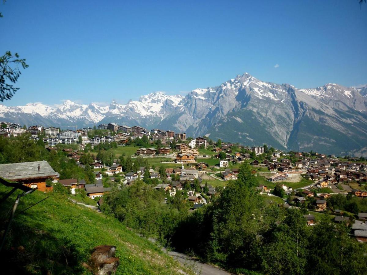 Pracondu 1 Outdoor & Fun Appartement 1 Chambre Superieur Avec Balcon By Alpvision Residences Nendaz Eksteriør bilde
