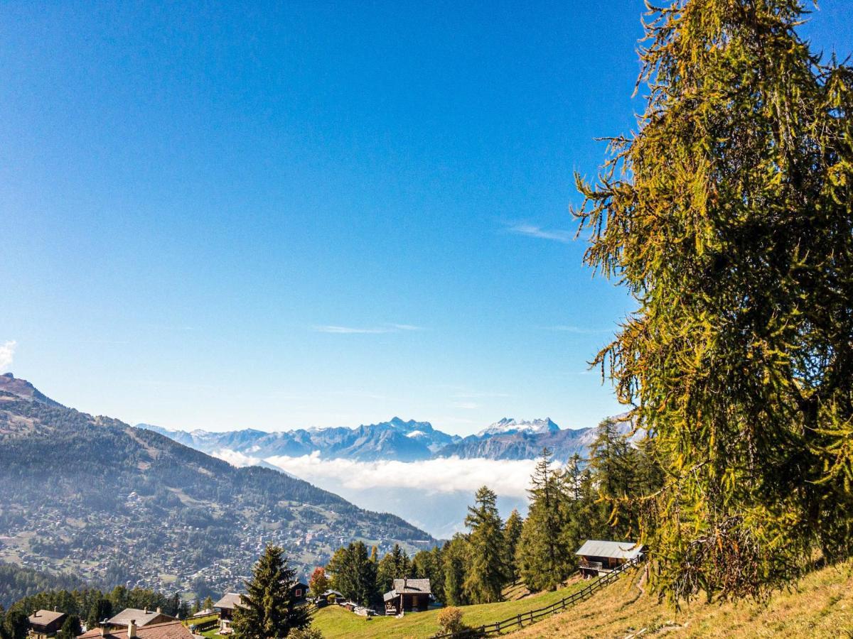 Pracondu 1 Outdoor & Fun Appartement 1 Chambre Superieur Avec Balcon By Alpvision Residences Nendaz Eksteriør bilde