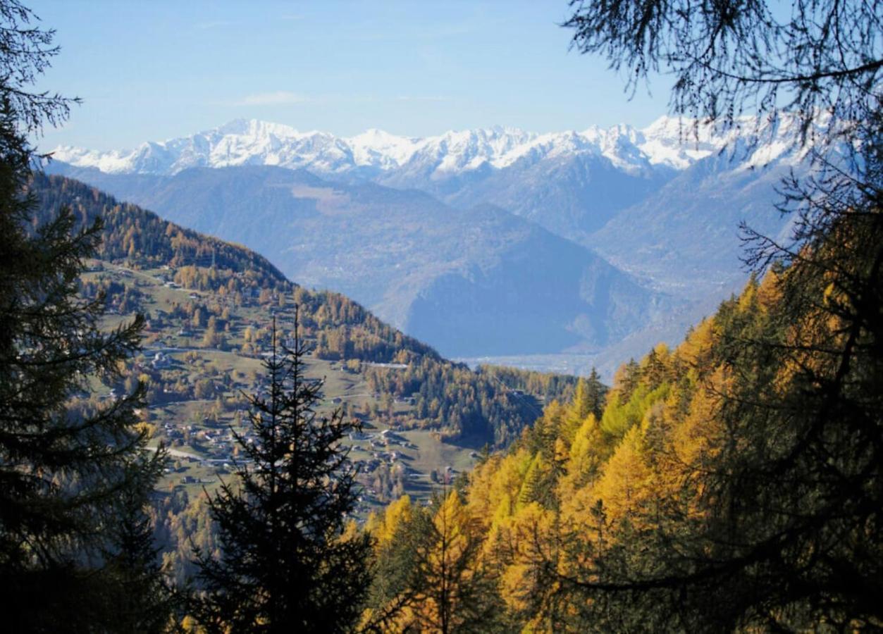 Pracondu 1 Outdoor & Fun Appartement 1 Chambre Superieur Avec Balcon By Alpvision Residences Nendaz Eksteriør bilde