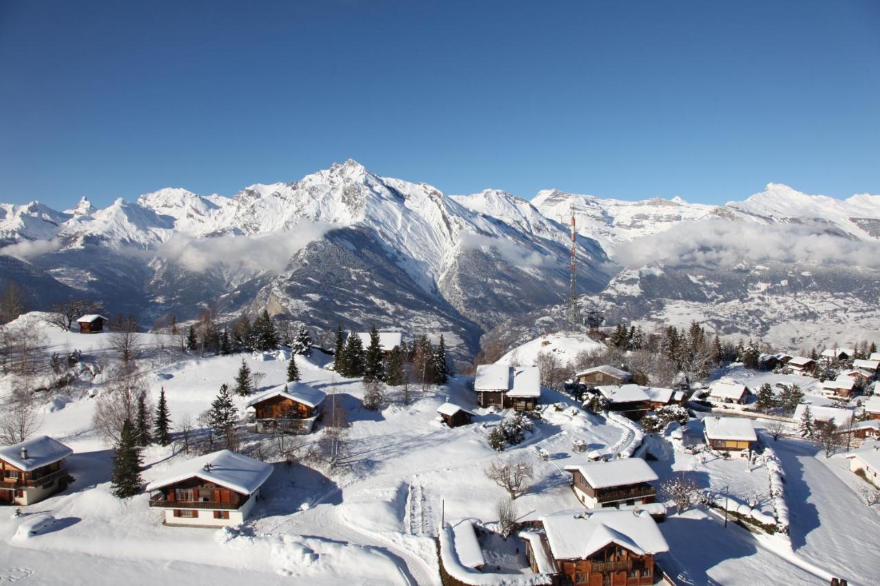 Pracondu 1 Outdoor & Fun Appartement 1 Chambre Superieur Avec Balcon By Alpvision Residences Nendaz Eksteriør bilde